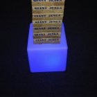 LED Glow Giant Oversized Jenga Rental Cincinnati Ohio