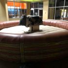 Mechanical Bull Rental with Inflatable Cincinnati, Ohio