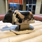 Mechanical Bull Rental with Inflatable Cincinnati, Ohio