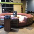 Mechanical Bull Rental with Inflatable Cincinnati, Ohio