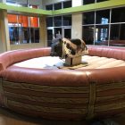 Mechanical Bull Rental with Inflatable Cincinnati, Ohio