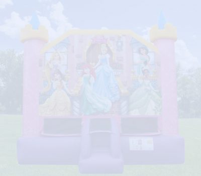 Princess Party Package Rental Cincinnati Ohio