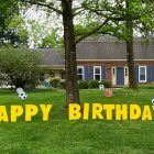 Sports Balls Birthday Yard Cards & Signs Rentals Cincinnati Ohio