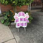 Flamingo Birthday Yard Cards & Signs Rentals Cincinnati Ohio