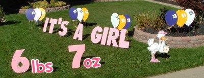 It's a Girl Stork Birth Announcement Yard Cards & Signs Rentals Cincinnati Ohio